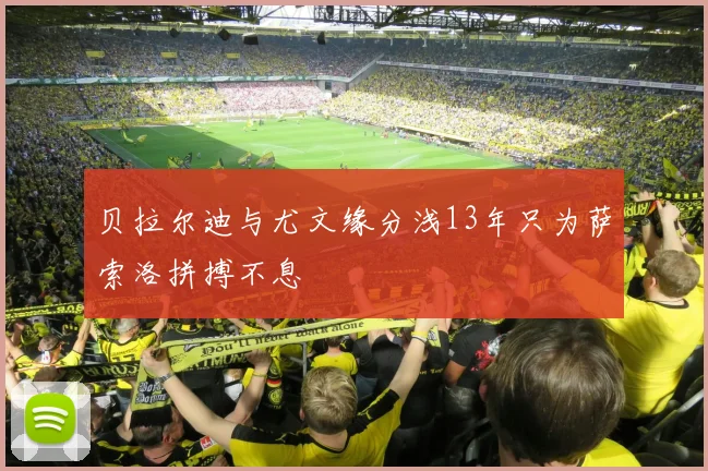 贝拉尔迪与尤文缘分浅13年只为萨索洛拼搏不息